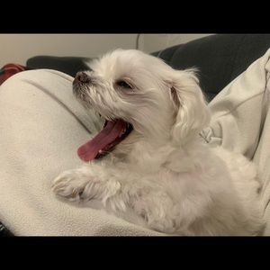 Meet your Posher, Jihye